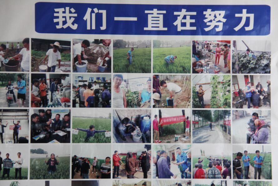 yl7703永利集团药业集团国内制剂2016年度第一次总结暨市场启动会议隆重召开