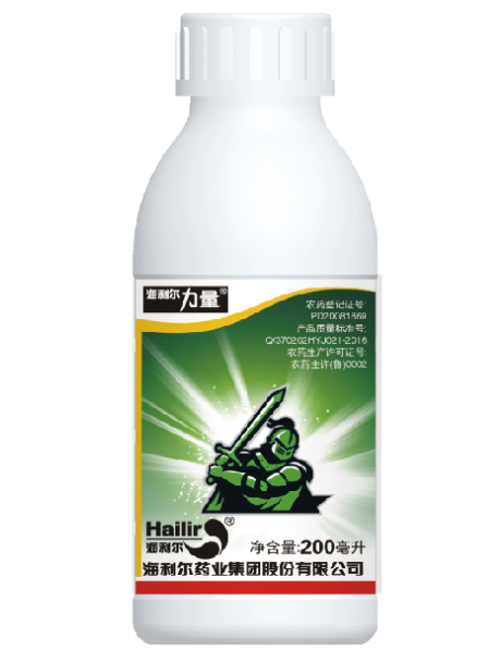 yl7703永利集团力量