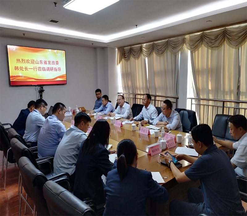 省发改委就业处韩晓林处长一行到yl7703永利集团调研
